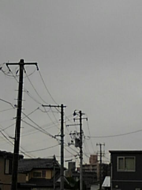 投稿写真
