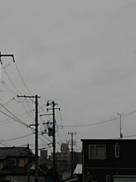 投稿写真