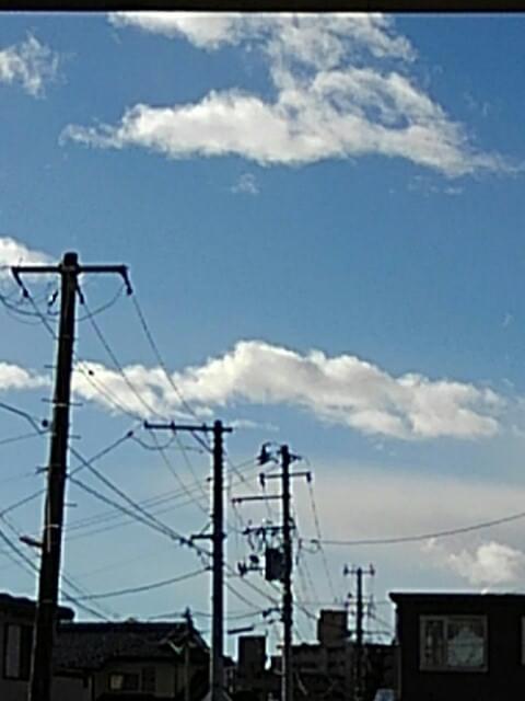 投稿写真