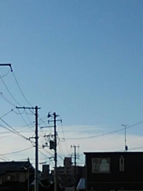 投稿写真