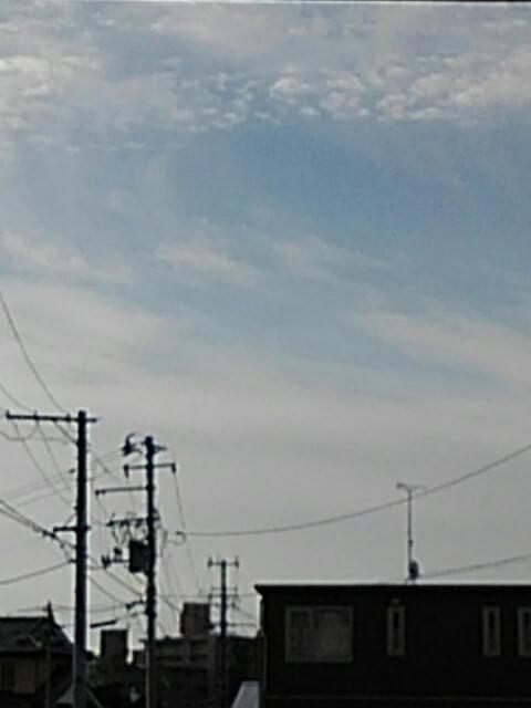 投稿写真