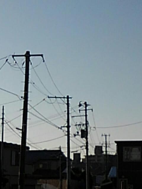 投稿写真