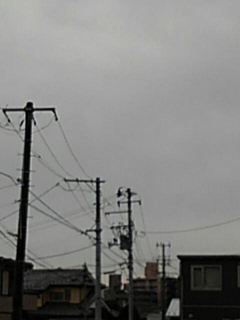 投稿写真