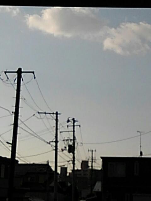 投稿写真