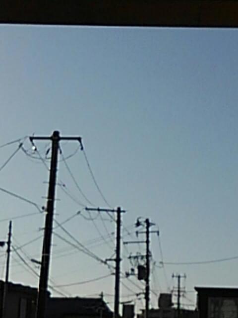 投稿写真