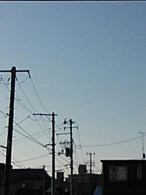 投稿写真