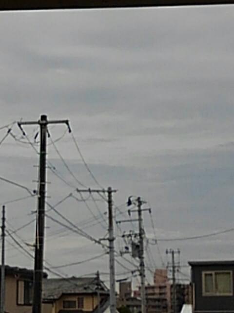 投稿写真