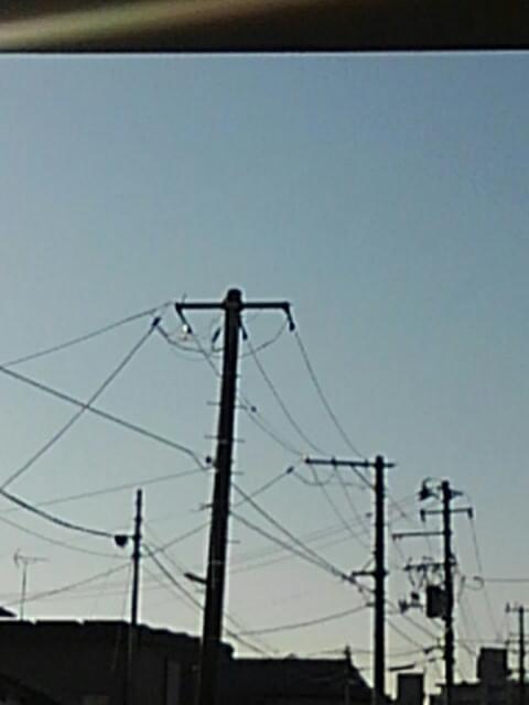投稿写真