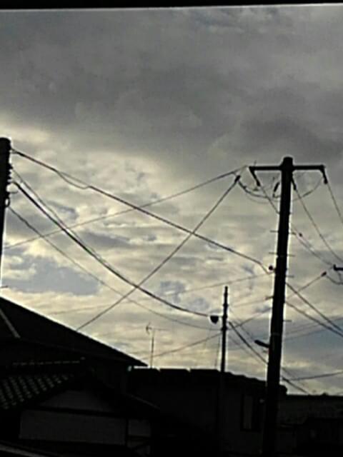 投稿写真