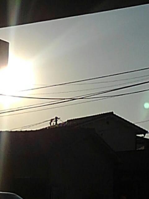 投稿写真