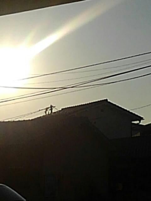 投稿写真