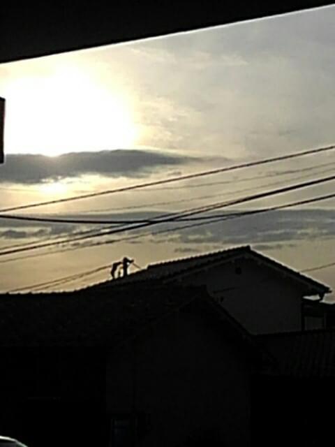 投稿写真