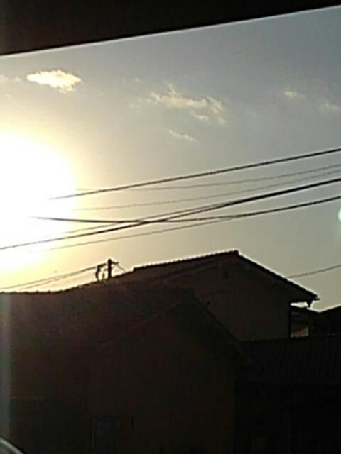 投稿写真